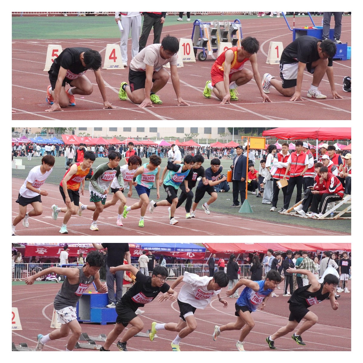 稿定设计导出-20240430-102239.jpg